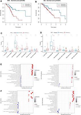 Prognostic Value of Immune-Related Multi-IncRNA Signatures Associated With Tumor Microenvironment in Esophageal Cancer